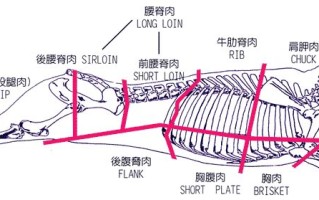 企业网站设计师基本功修炼记